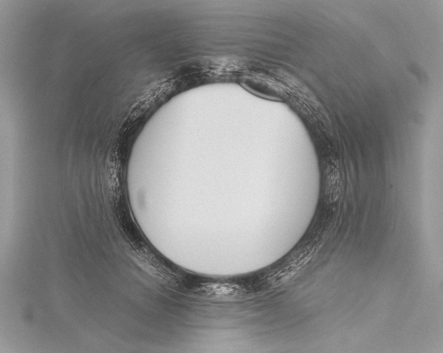 X0000115760654200912041411