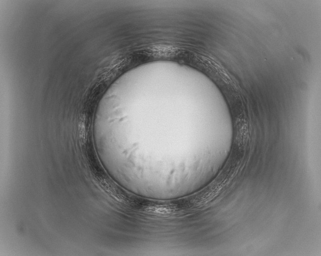 X0000115760655200912041411