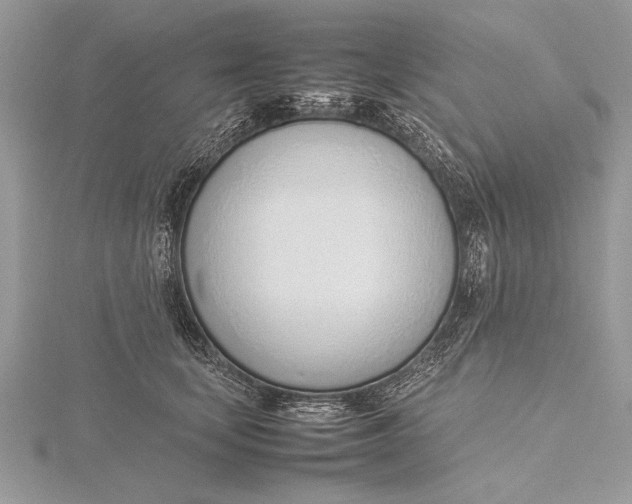 X0000115760659200912041411