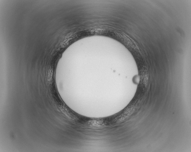 X0000115760660200912041411