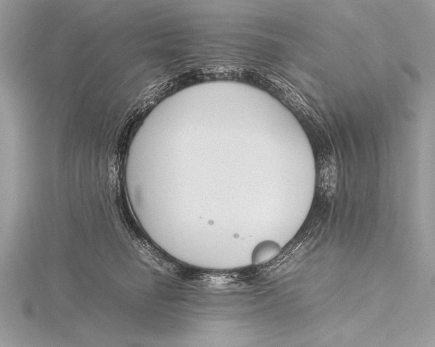 X0000115760662200912041412