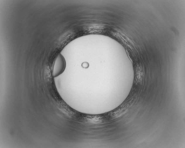 X0000115760667200912041412