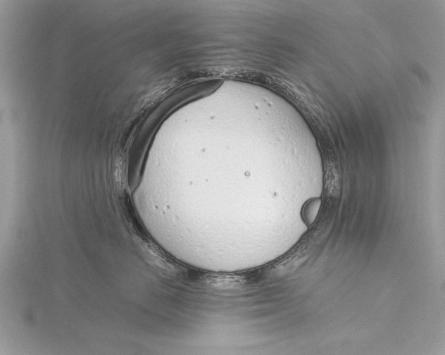 X0000115760670200912041412