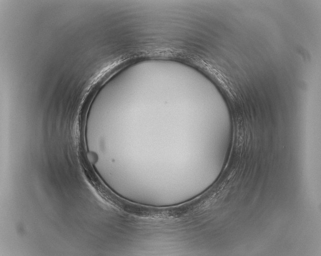 X0000115760674200912041411