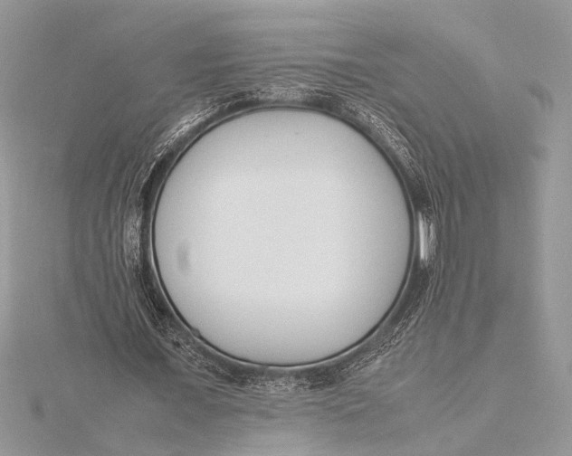 X0000115760675200912041411