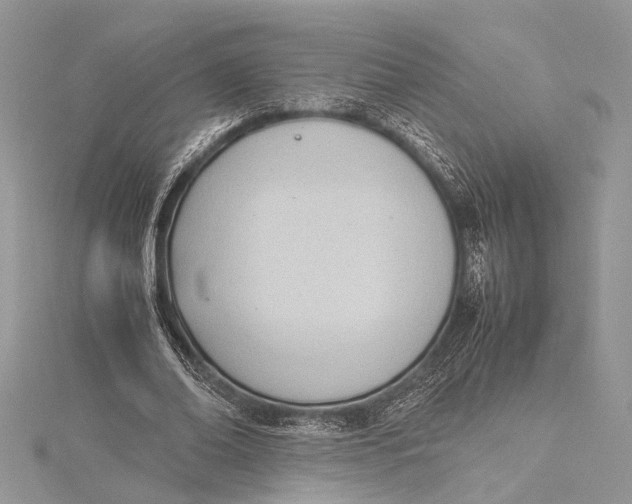 X0000115760678200912041411