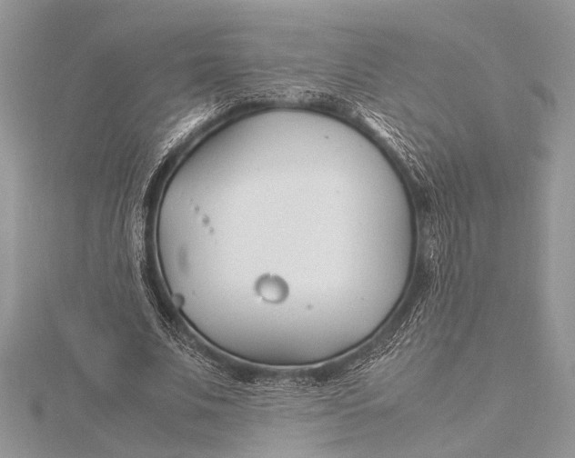 X0000115760679200912041411