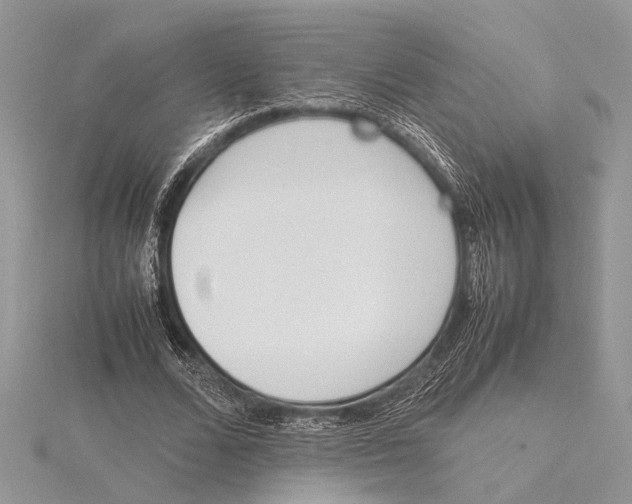 X0000115760680200912041411