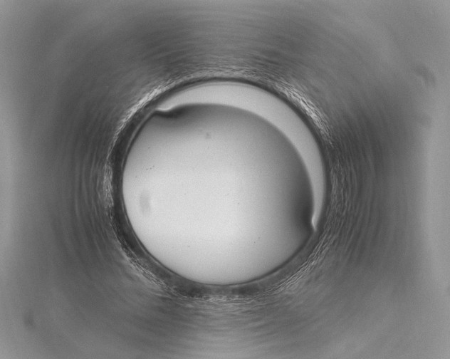 X0000115760684200912041411