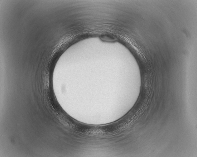 X0000115760685200912041411