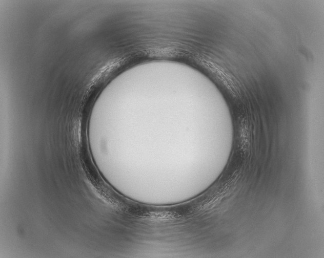 X0000115760686200912041411