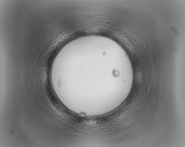 X0000115760687200912041411