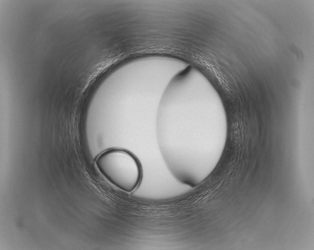 X0000115760688200912041411