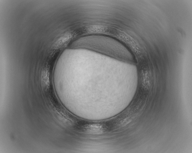 X0000115760692200912041411