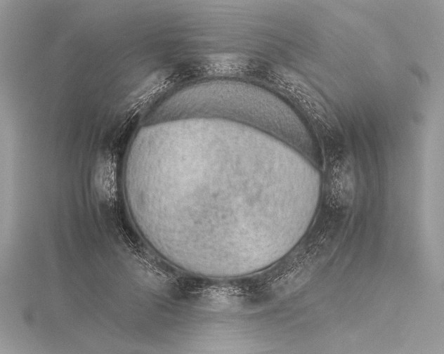 X0000115760696200912041411