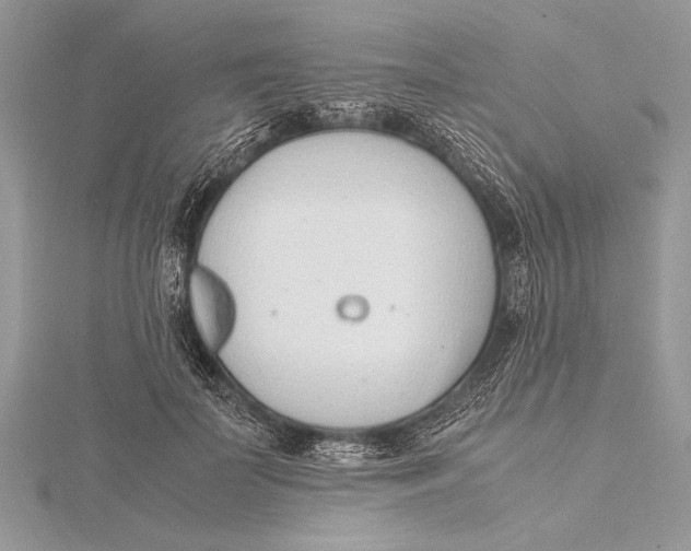 X0000115760699200912041411