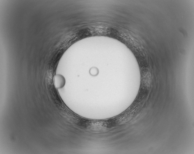 X0000115760709200912041411