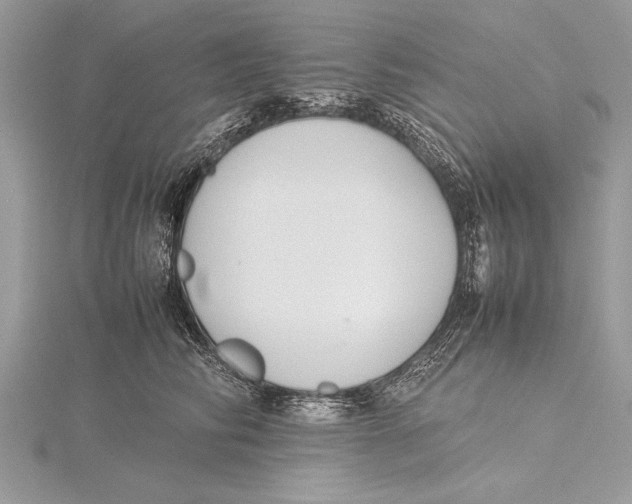 X0000115760710200912041411