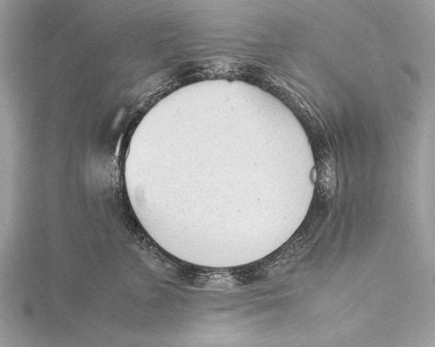 X0000115760715200912041410