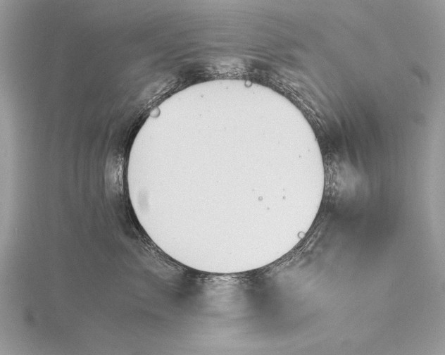 X0000115760717200912041410