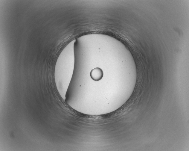 X0000115760720200912041410