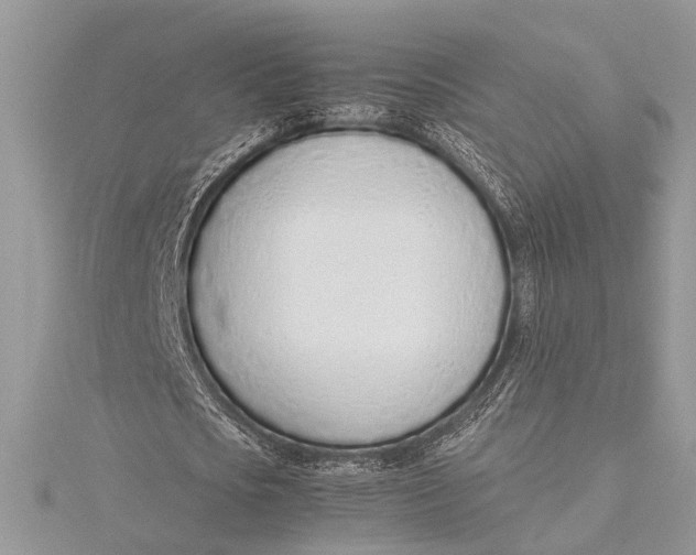 X0000115760721200912041410