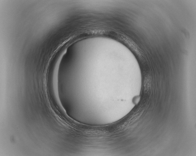 X0000115760722200912041410