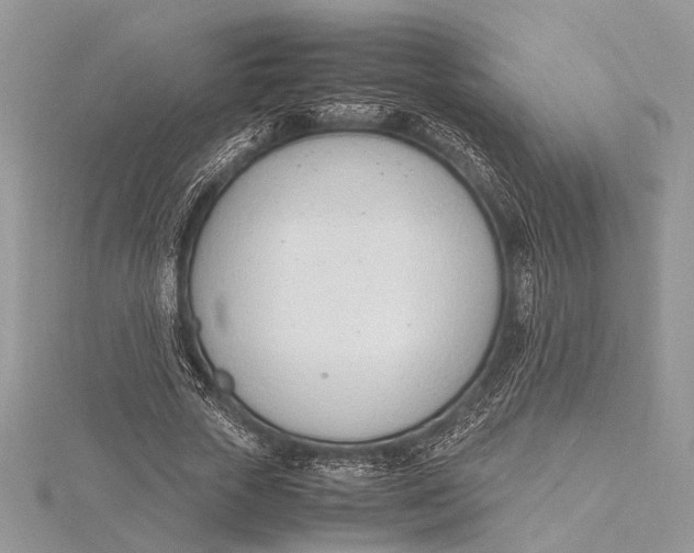 X0000115760729200912041410