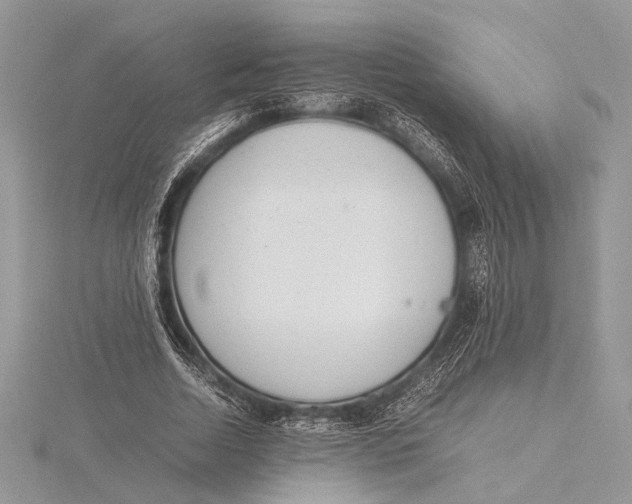 X0000115760730200912041410