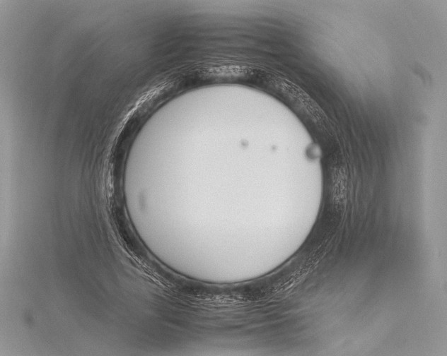 X0000115760731200912041410