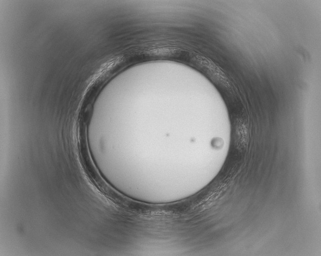 X0000115760734200912041410