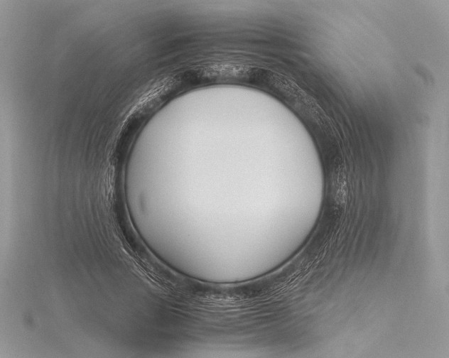 X0000115760735200912041410