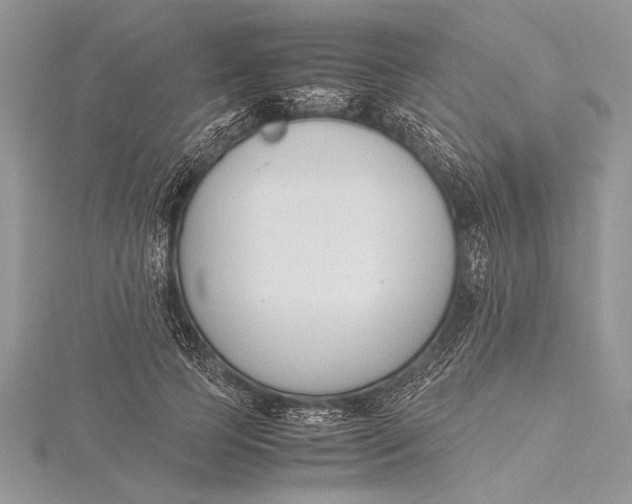 X0000115760745200912041410