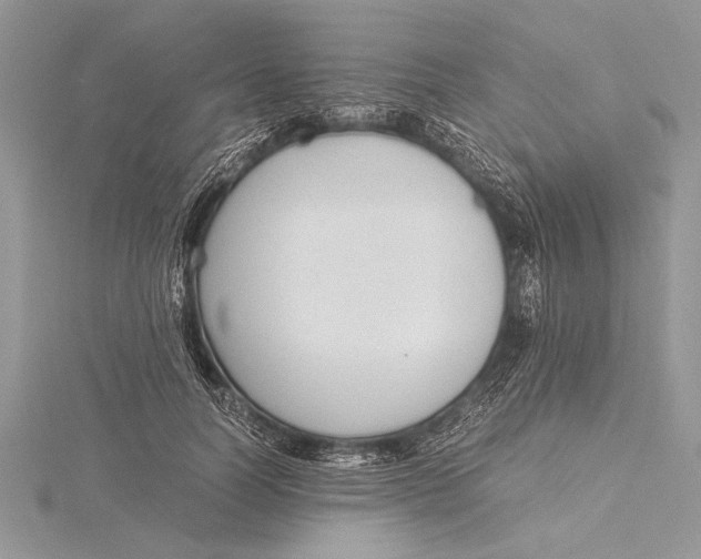 X0000115760746200912041410