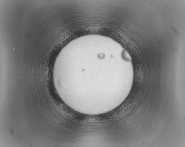 X0000115760750200912041410