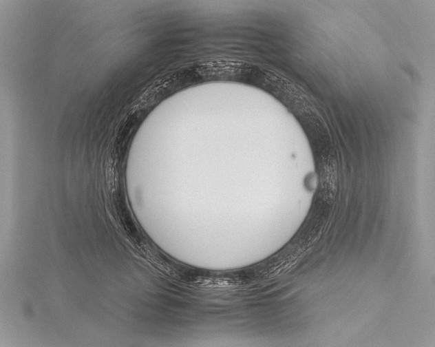 X0000115760751200912041410