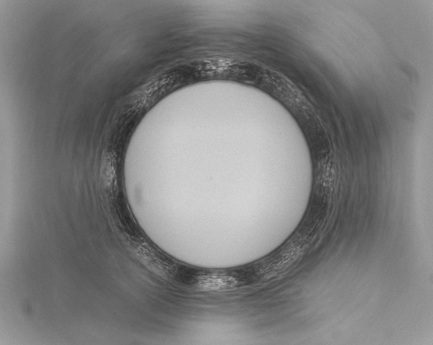 X0000115760754200912041410