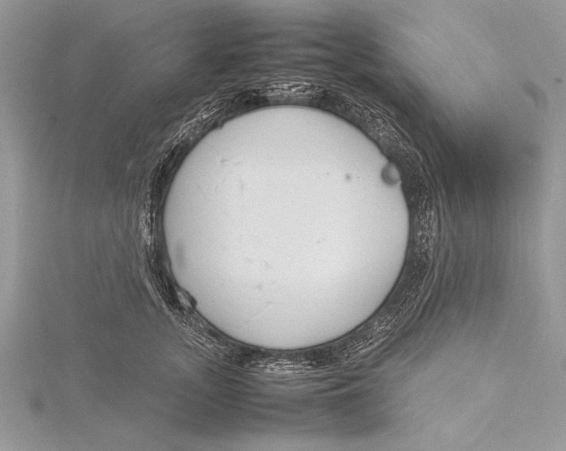 X0000115760755200912041410