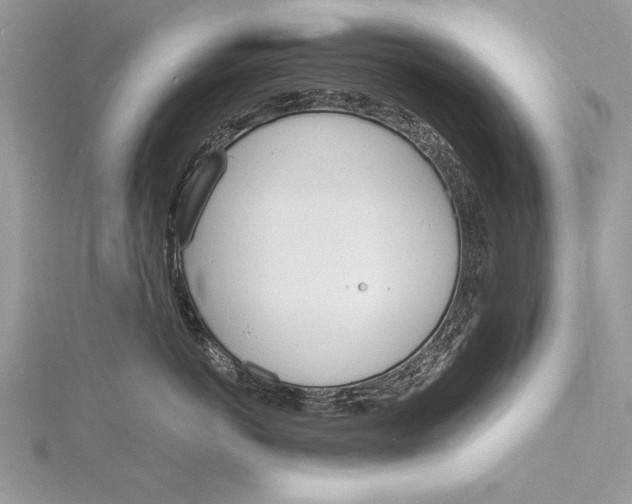 X0000115760766200912041410