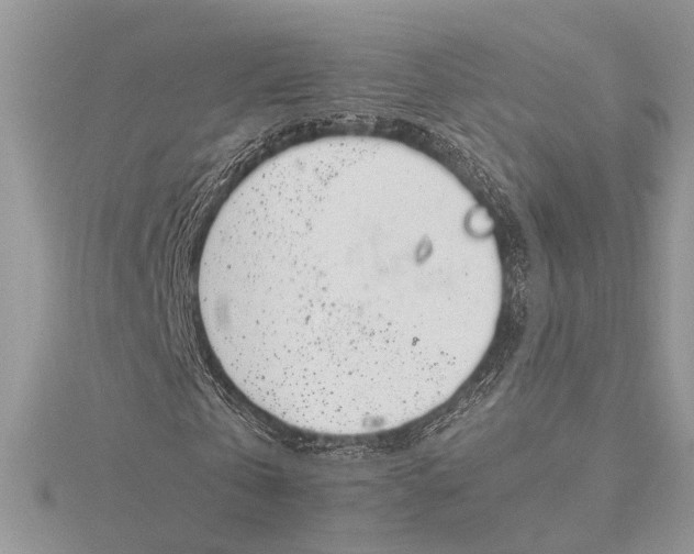 X0000115760769200912041410