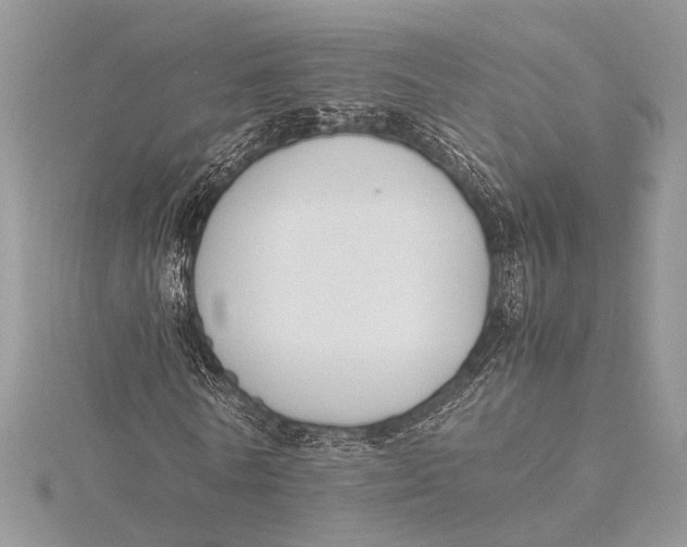 X0000115760770200912041410