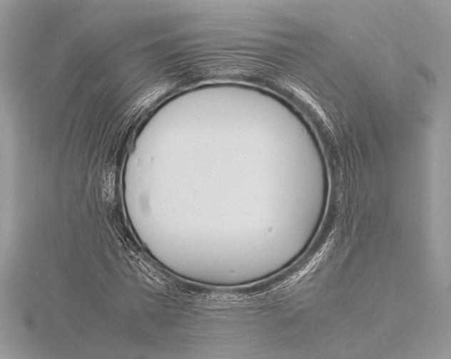 X0000115760777200912041410