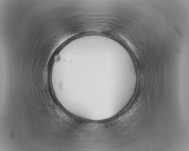 X0000115760779200912041410