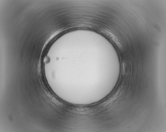 X0000115760780200912041410