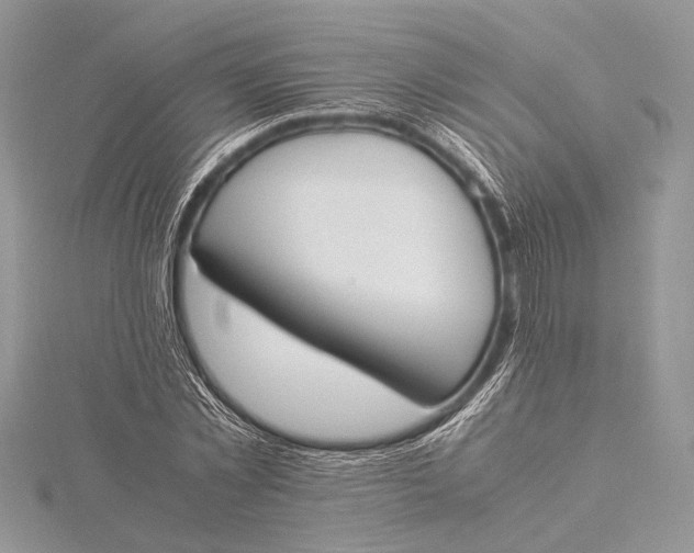 X0000115760781200912041410