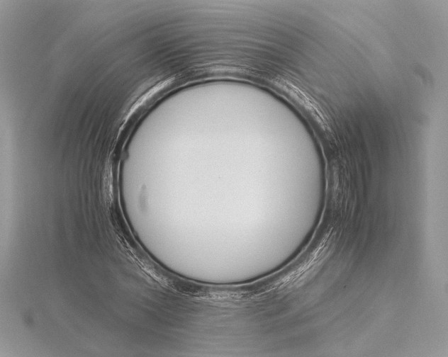 X0000115760782200912041410