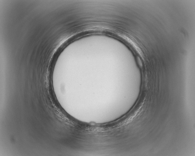 X0000115760783200912041410