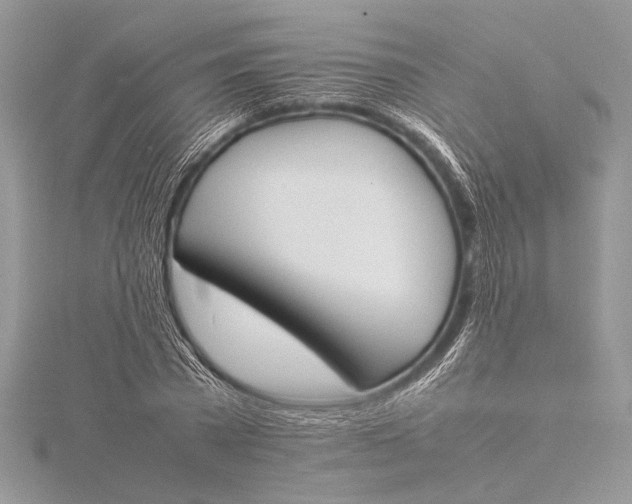 X0000115760785200912041410