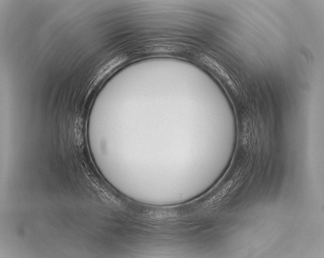 X0000115760786200912041410