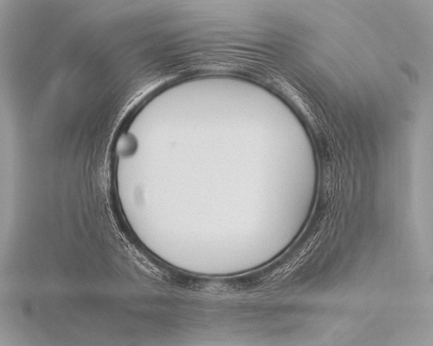 X0000115760787200912041410